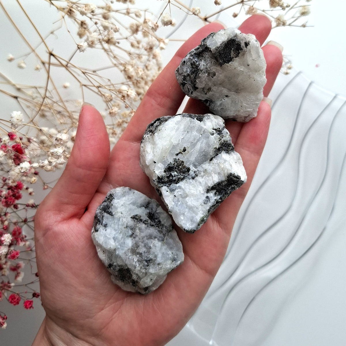 Light rainbow moonstone rough pieces held in a hand, photographed against a white background with flowers