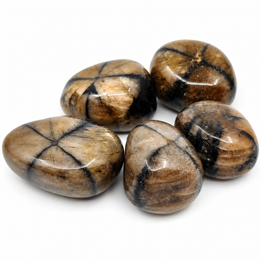 Chiastolite – Protection & Stability