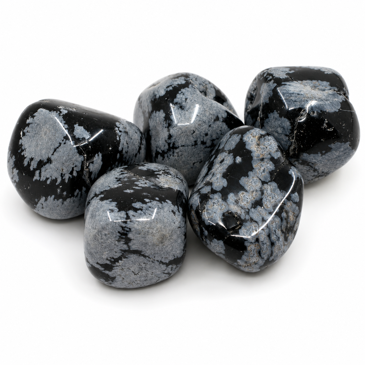 Mustat lumihiutaleobsidiaanit valkoisilla lumihiutaleilla läheltä kuvattuna valkoisella taustalla