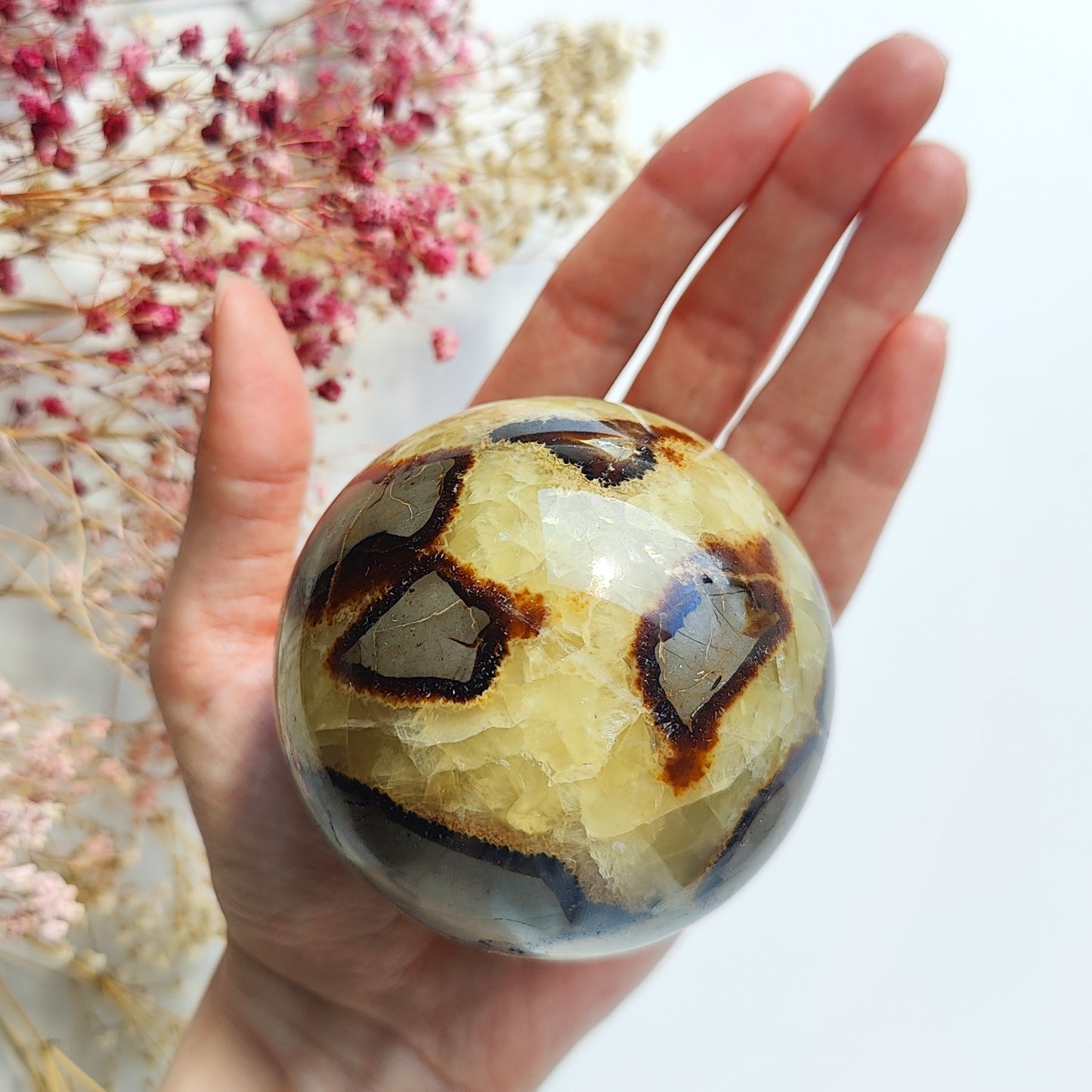 Septarian Sphere