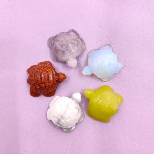 Mystery Turtle