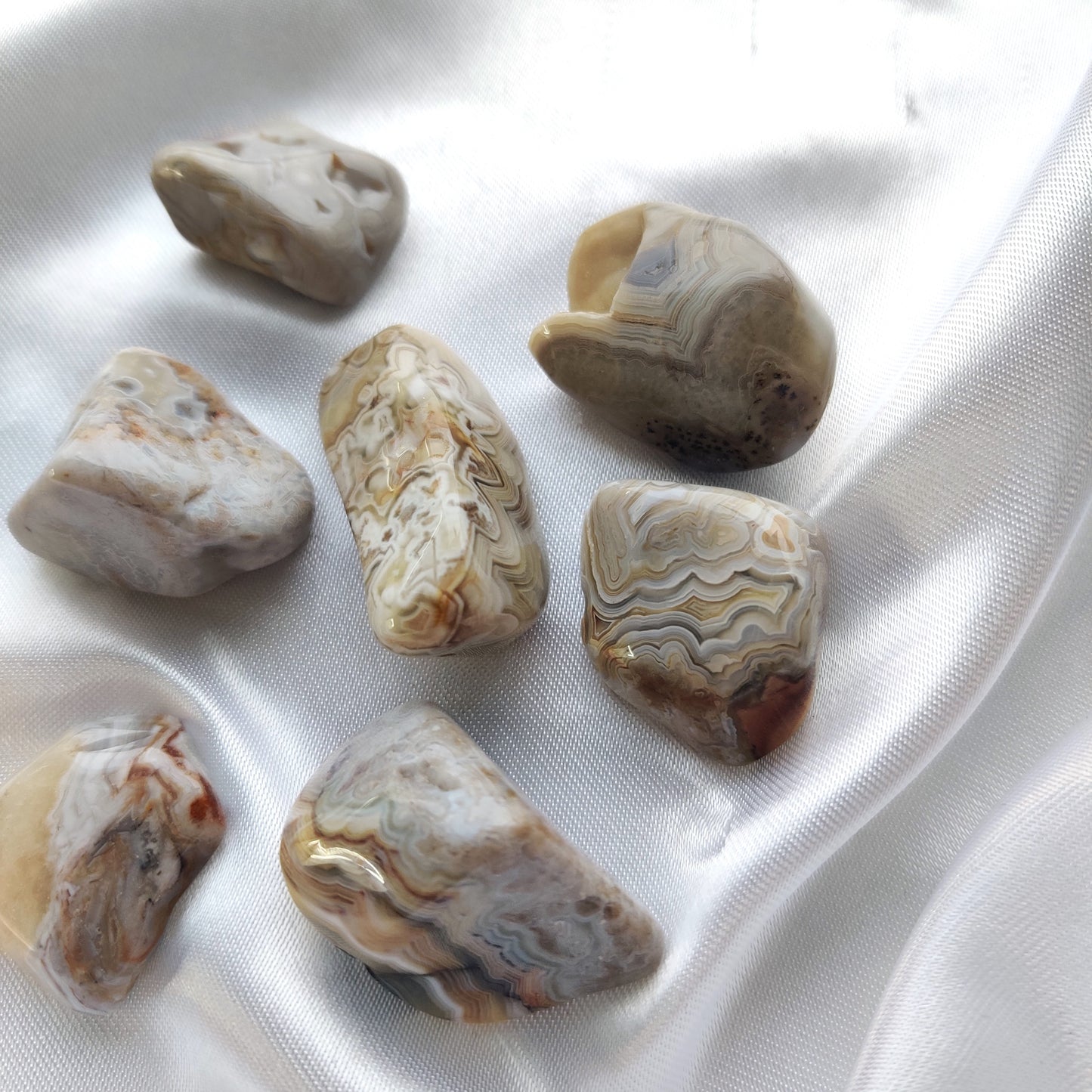 Rumpuhiotut meksikon pitsiakaatit valkoisella silkkikankaalla
